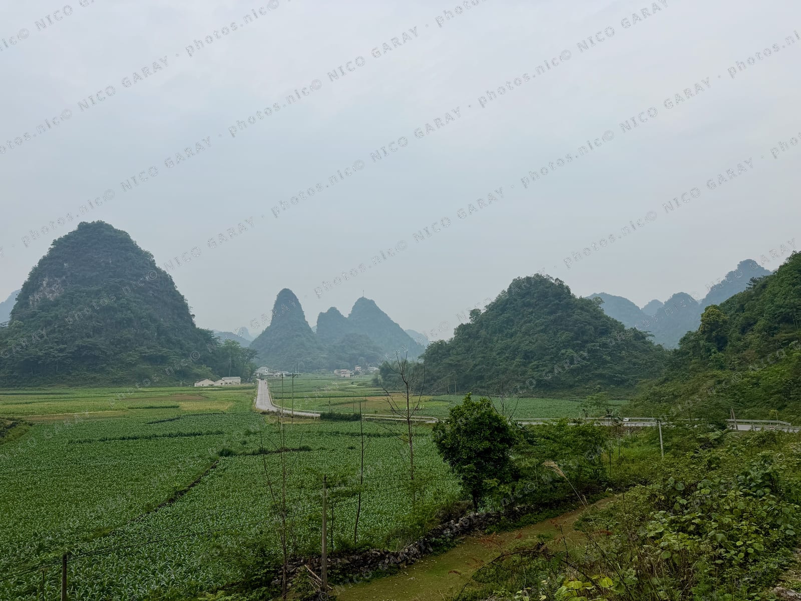 Trùng Khánh