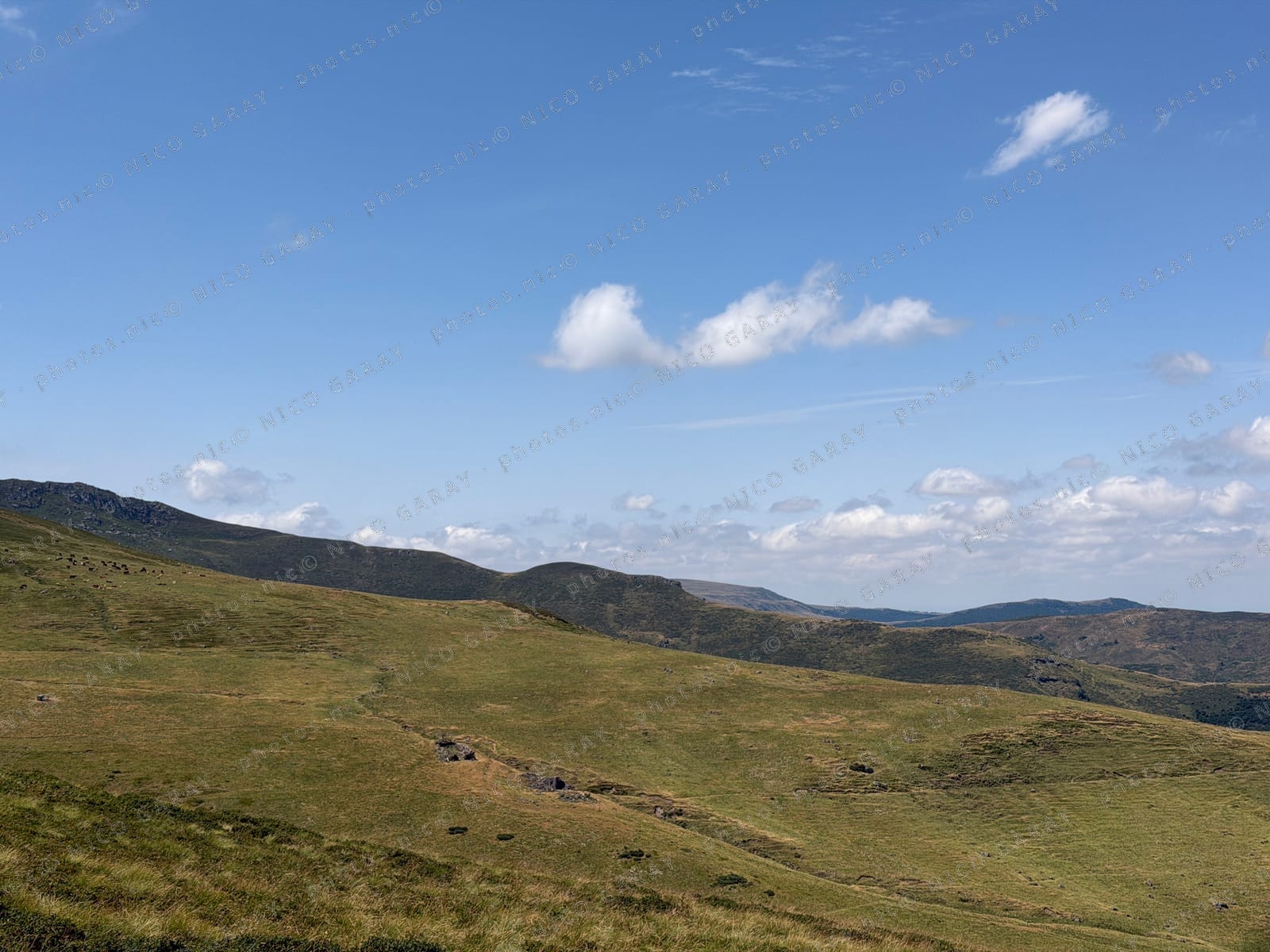 Les pentes nues de Laveissière