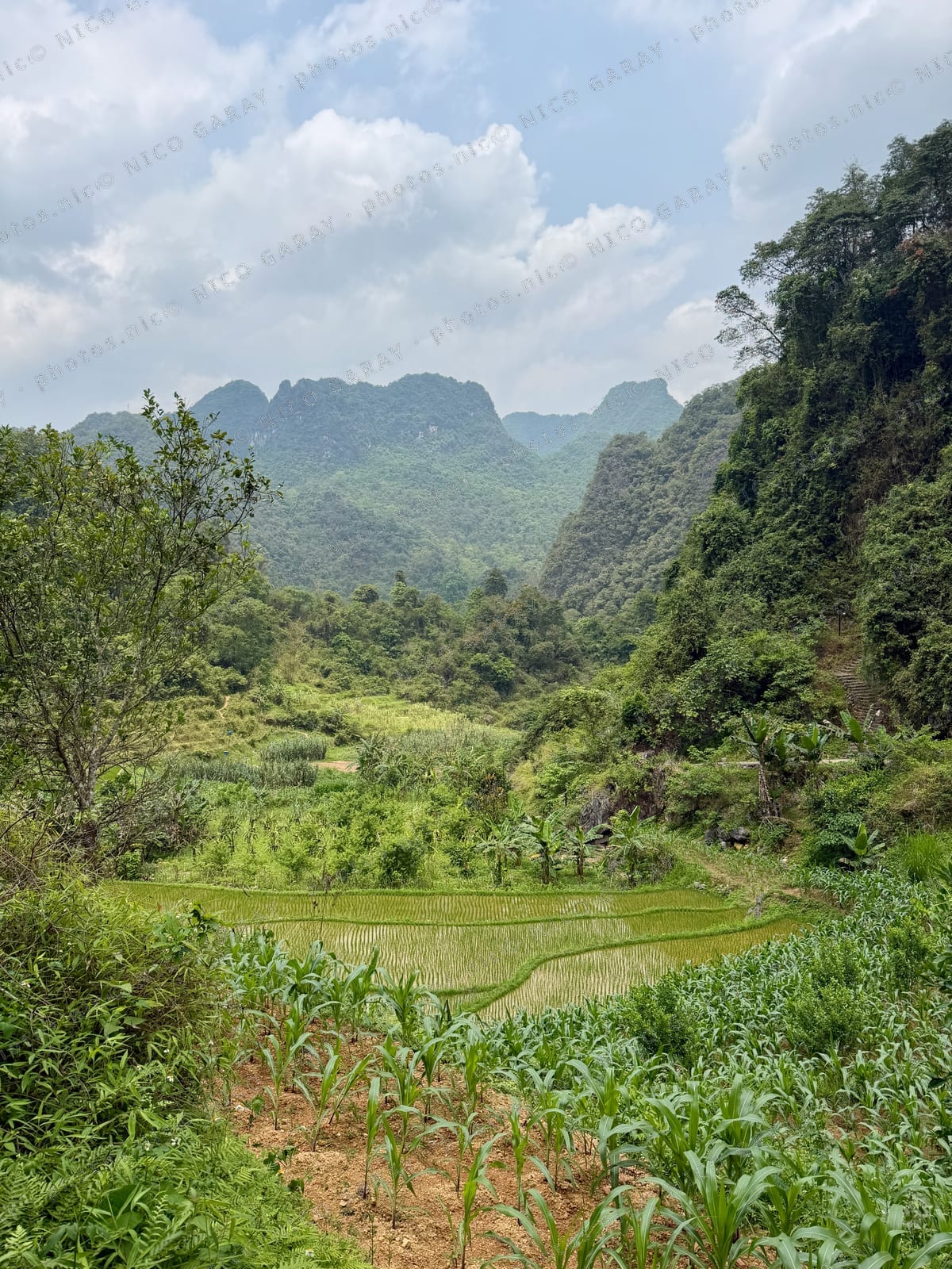 Trường Hà