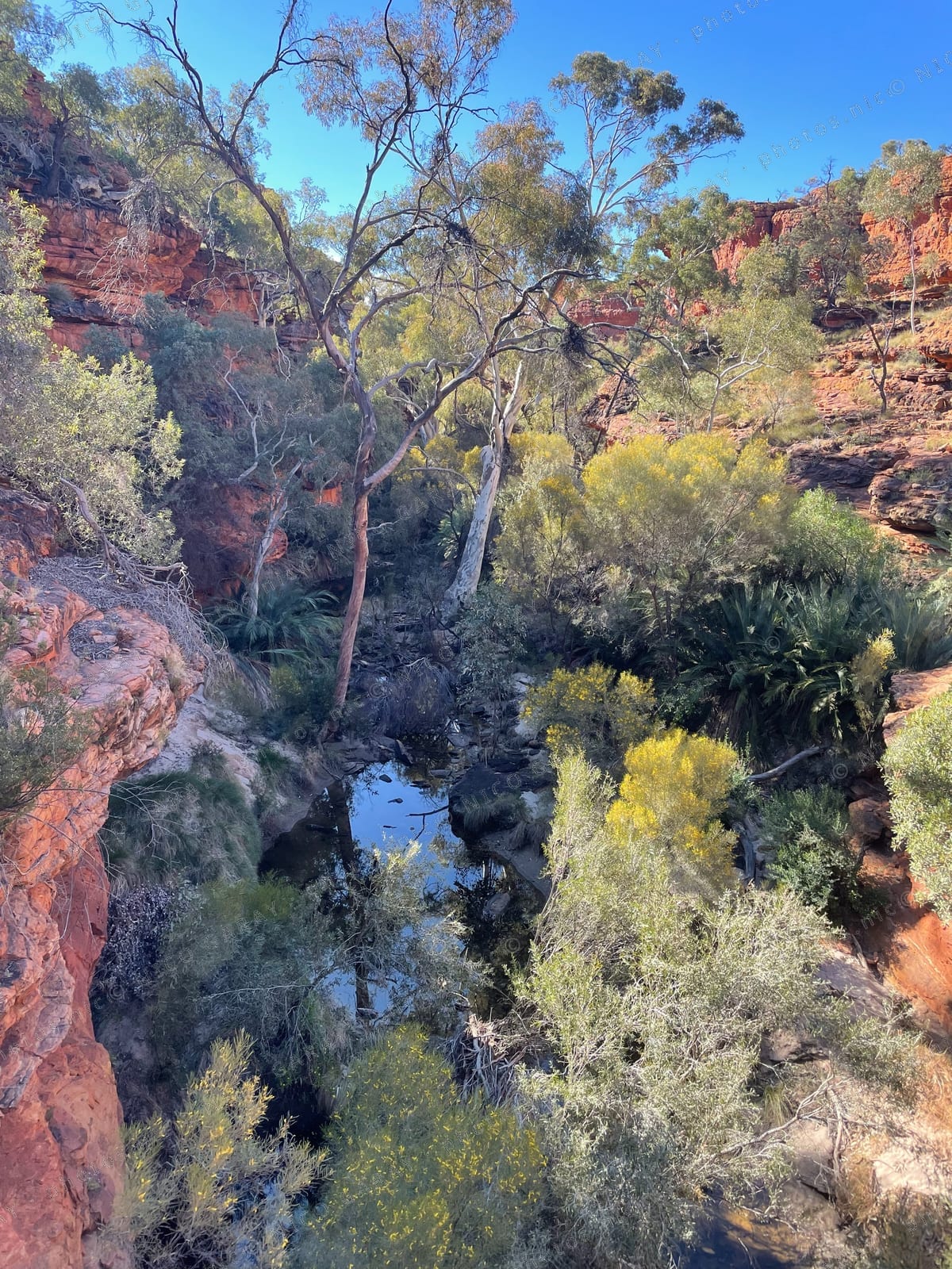 Australie
