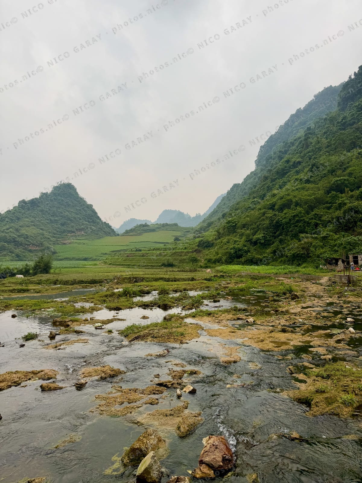Quang Hán