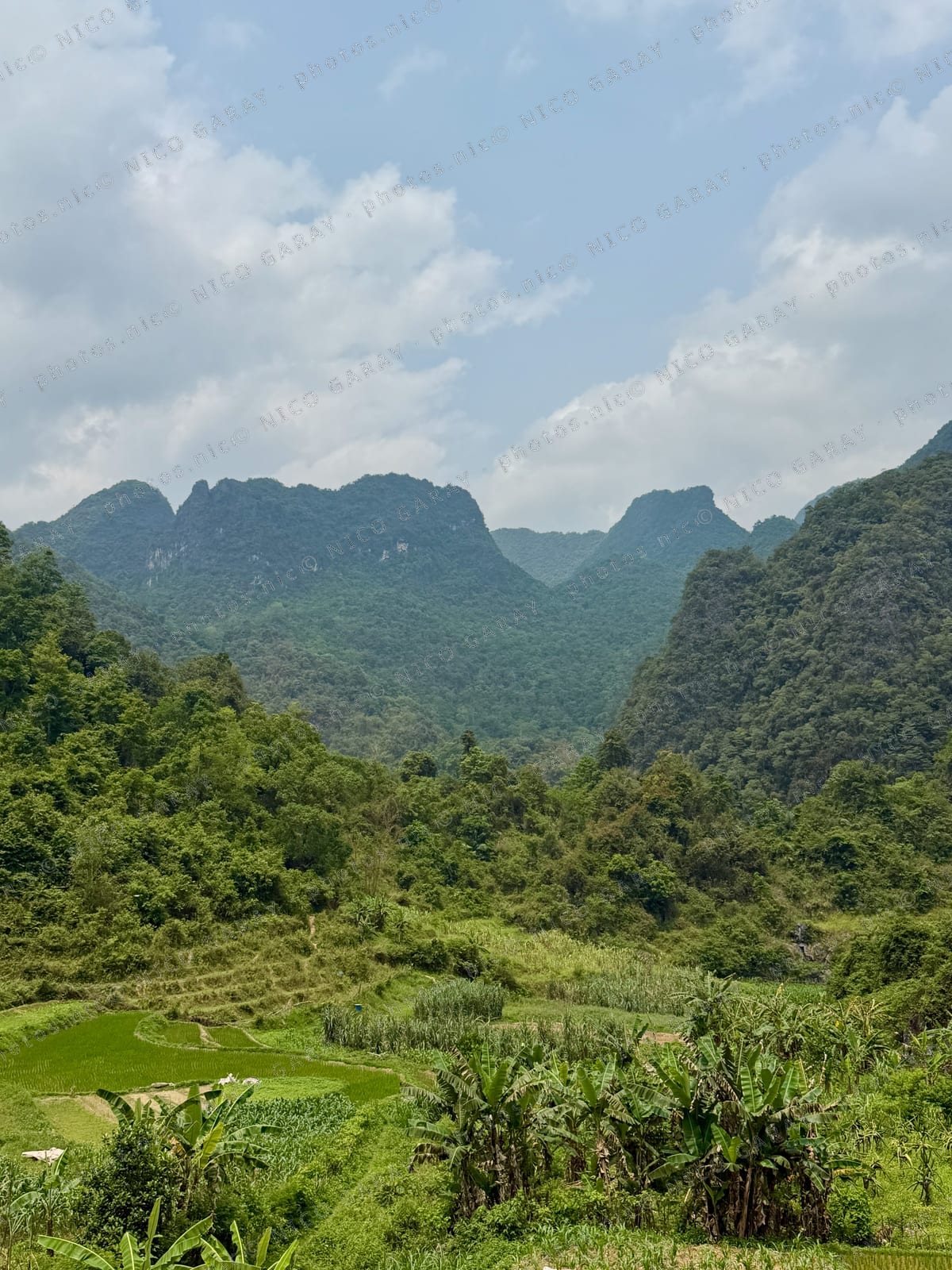 Trường Hà