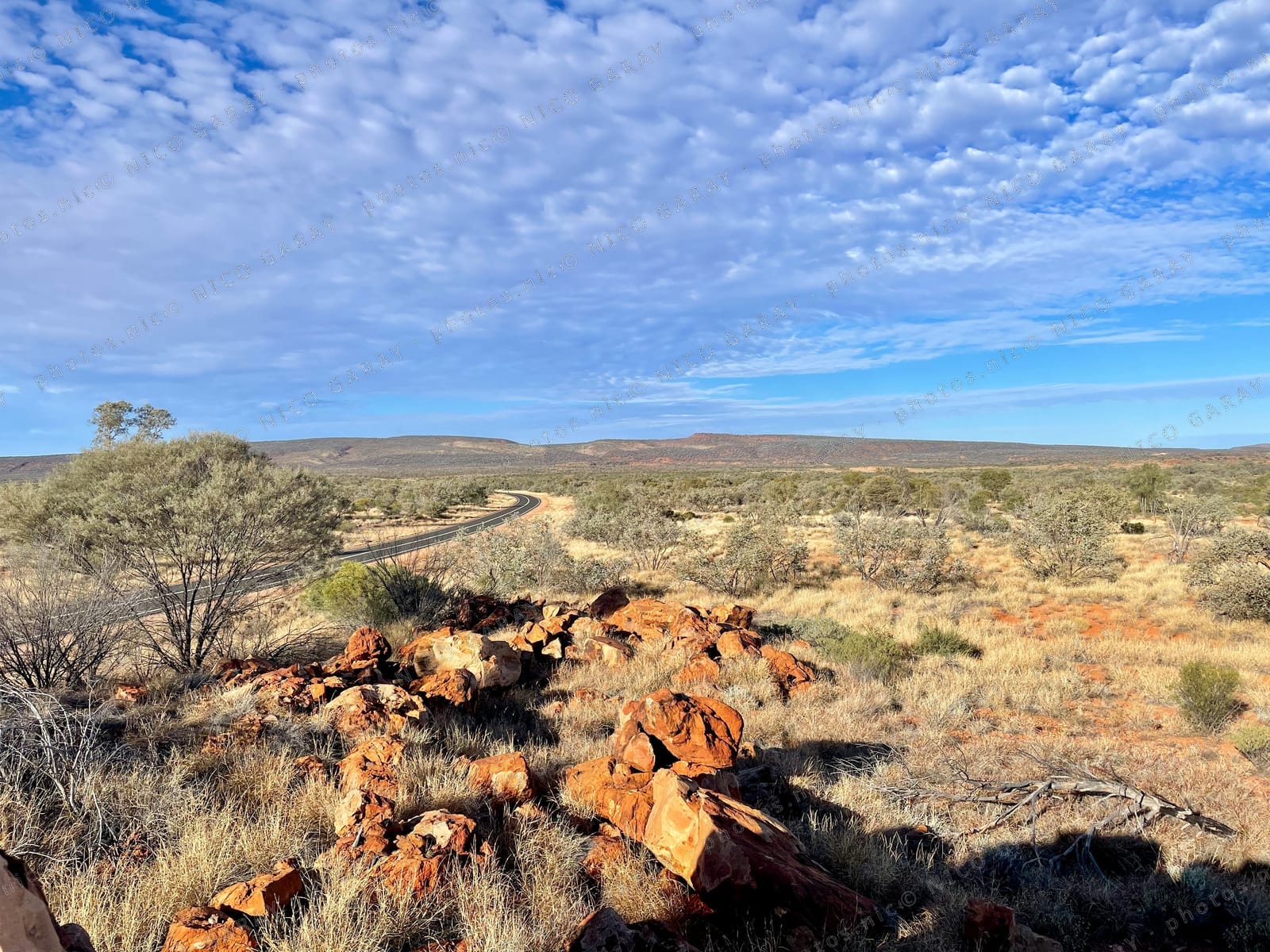 Macdonnell Region