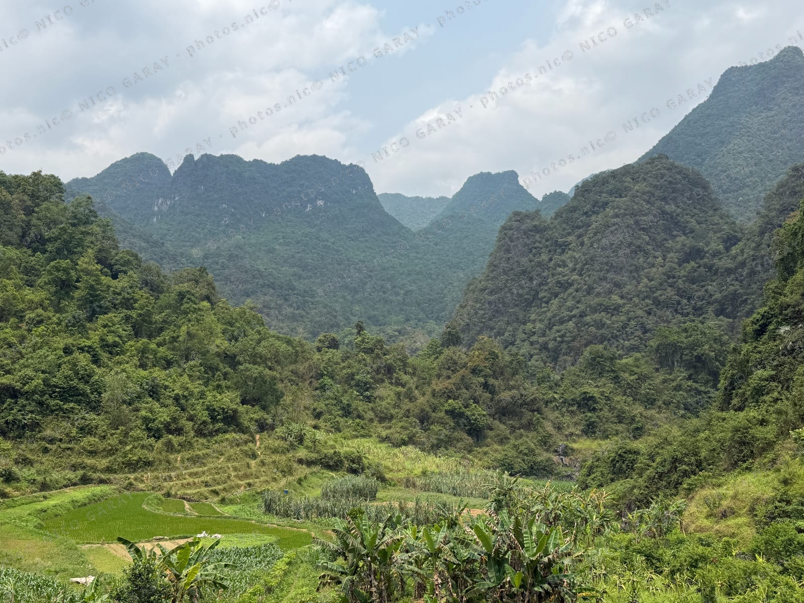 Trường Hà