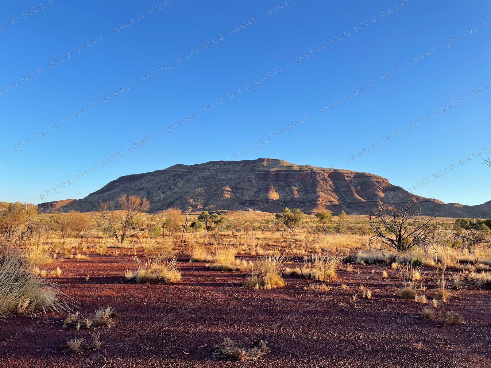 Australie occidentale