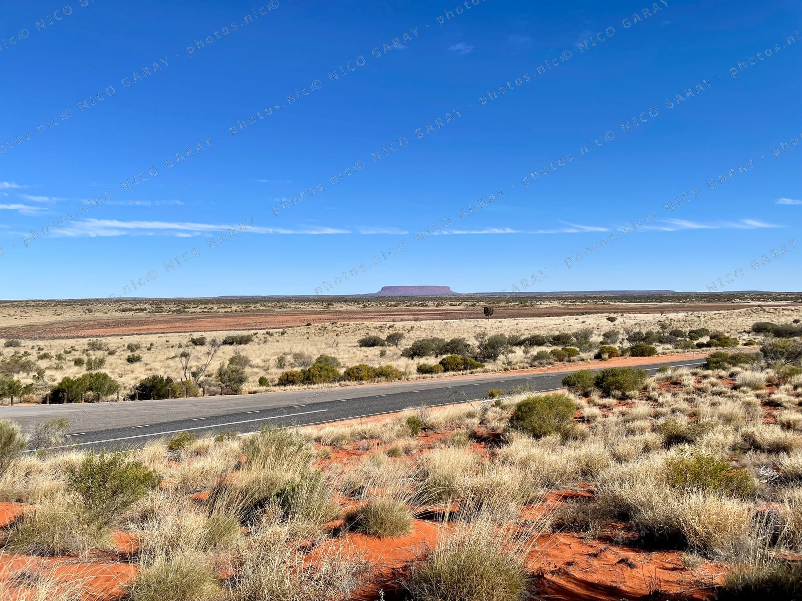 Macdonnell Region