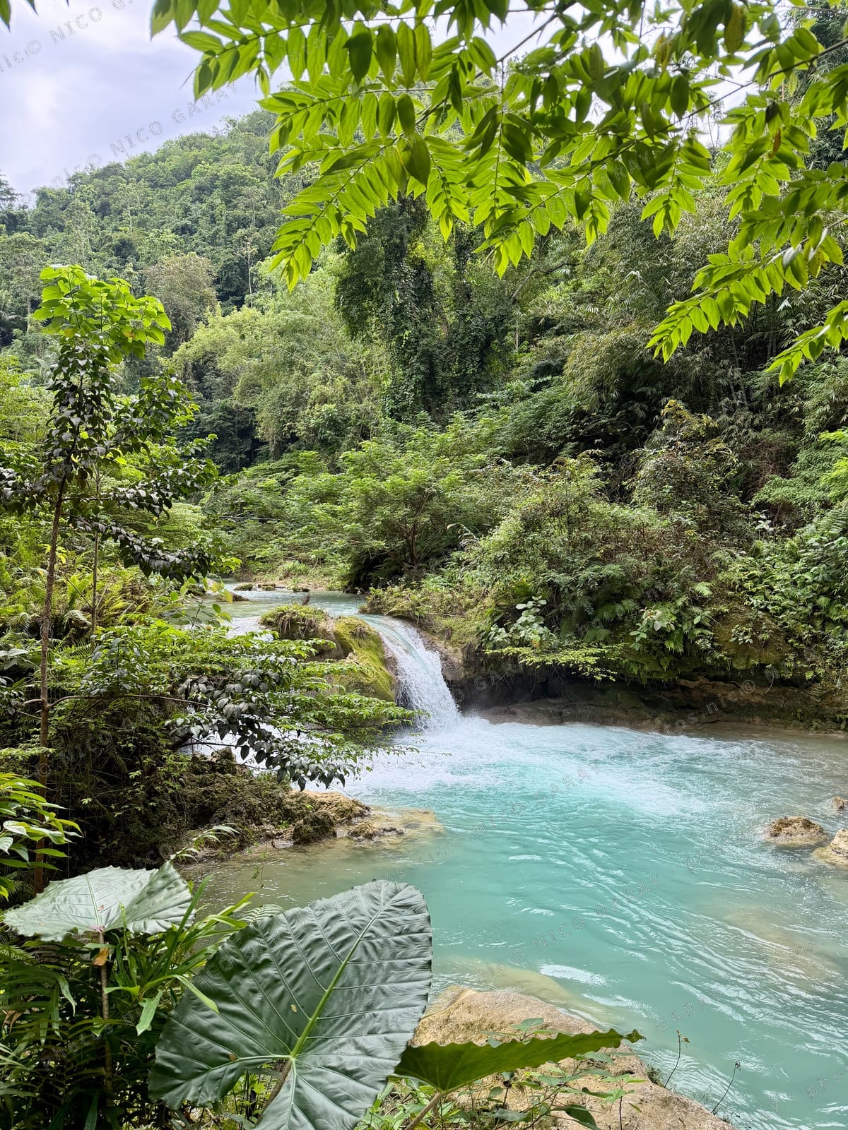 Cebu