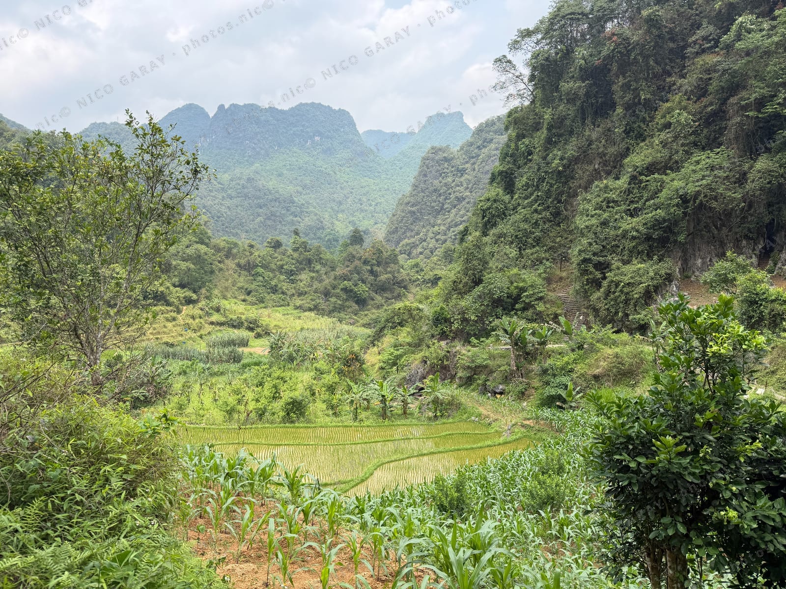 Trường Hà