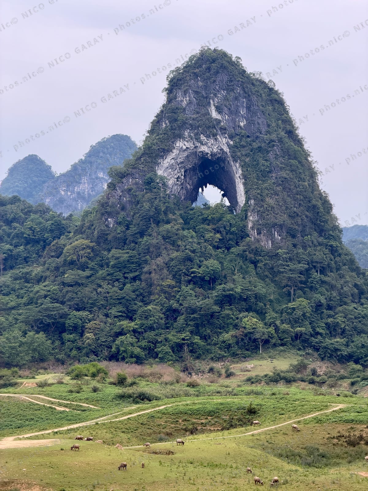 Trà Lĩnh