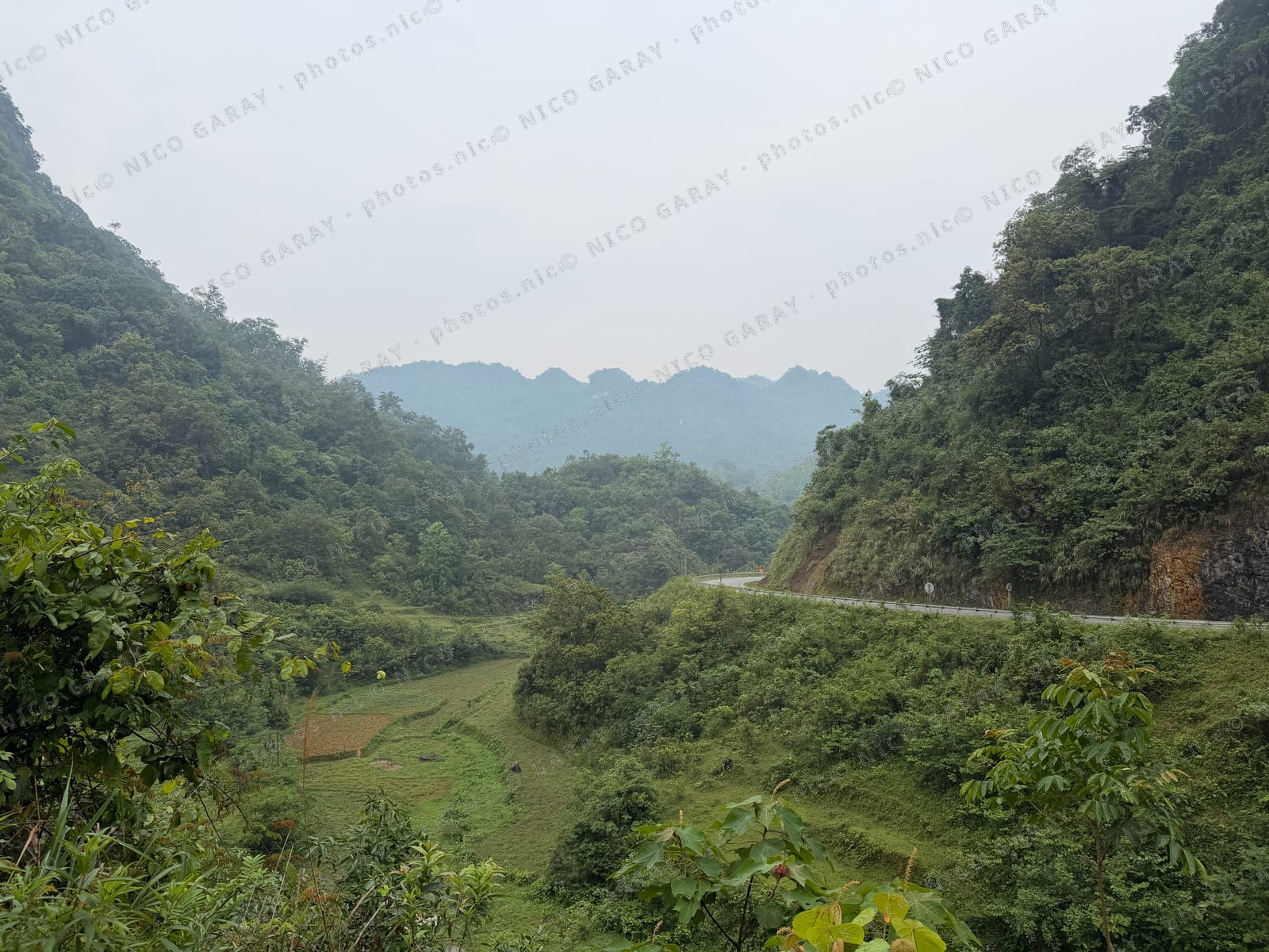 Quang Trung