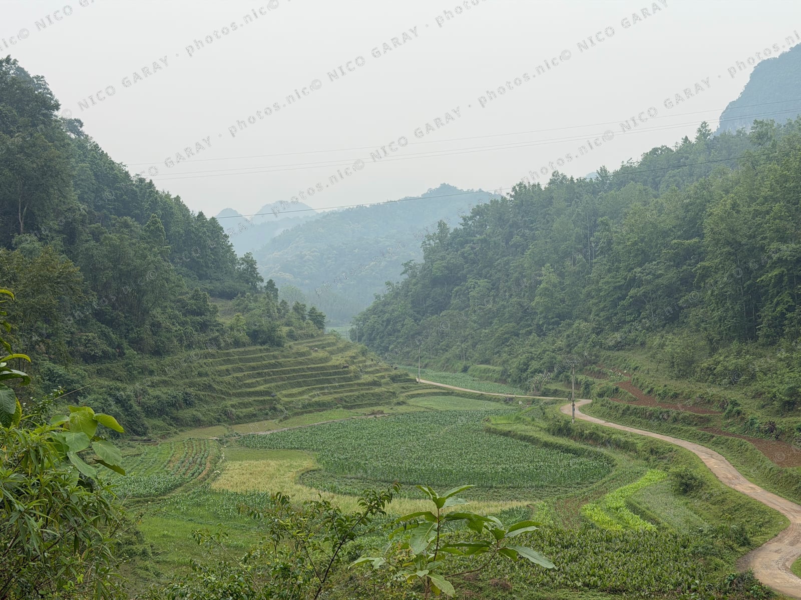 Quang Trung