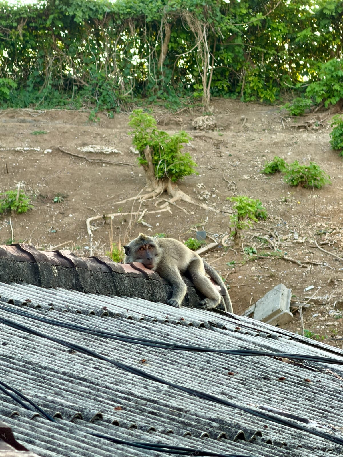 Kuta Selatan